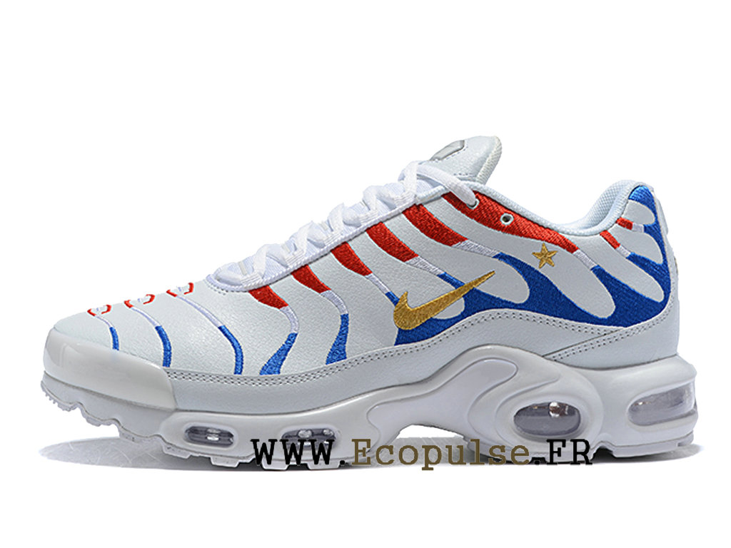 air max tn bleu blanc