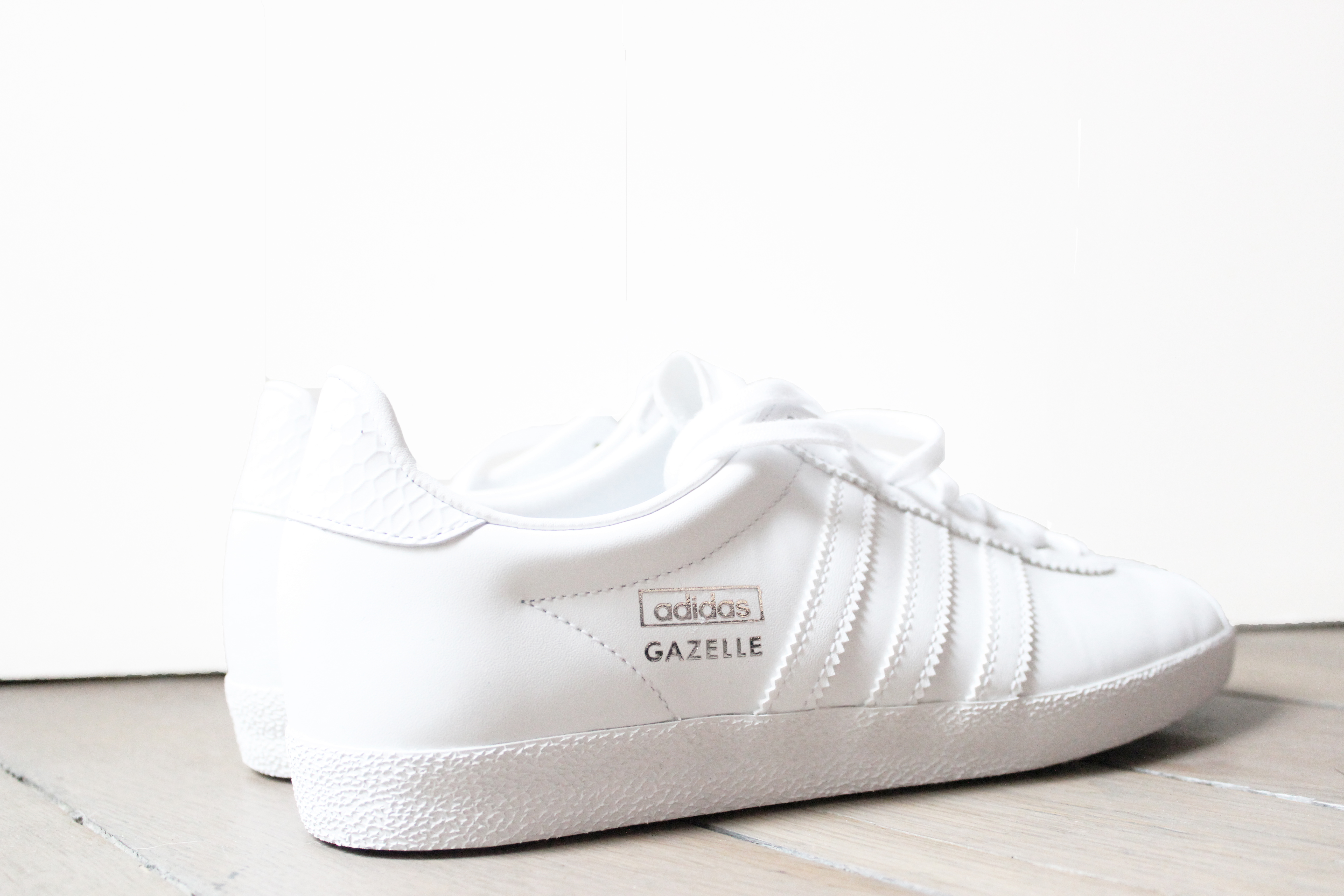 gazelle blanches